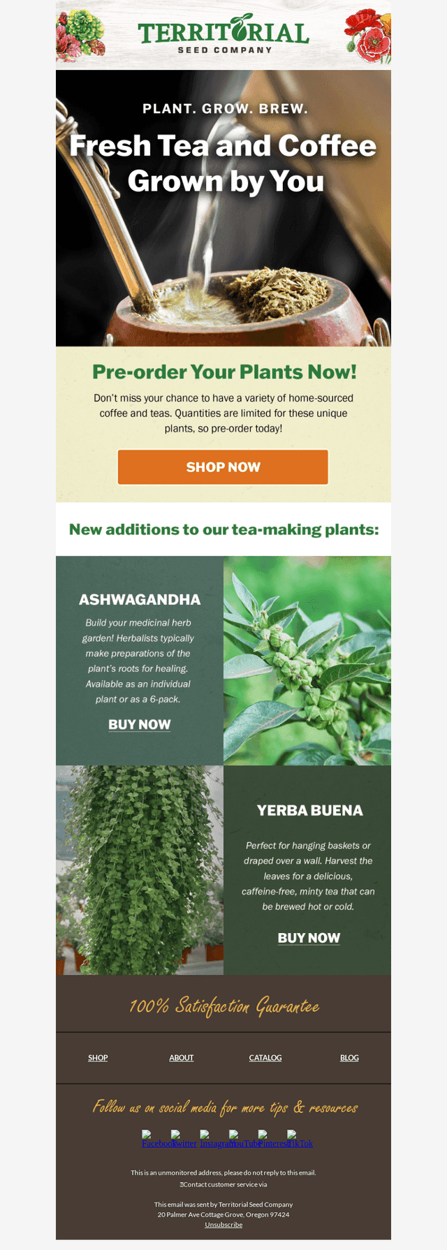 Pre-order your tea & coffee plants! 💚🌱