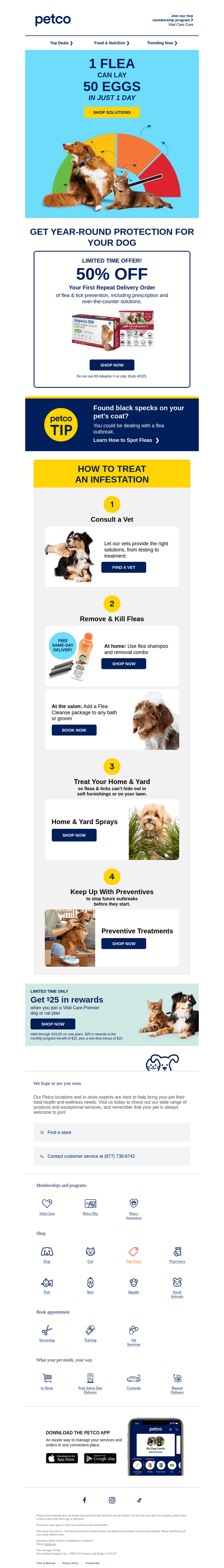 Is your dog protected from fleas & ticks? 🦟