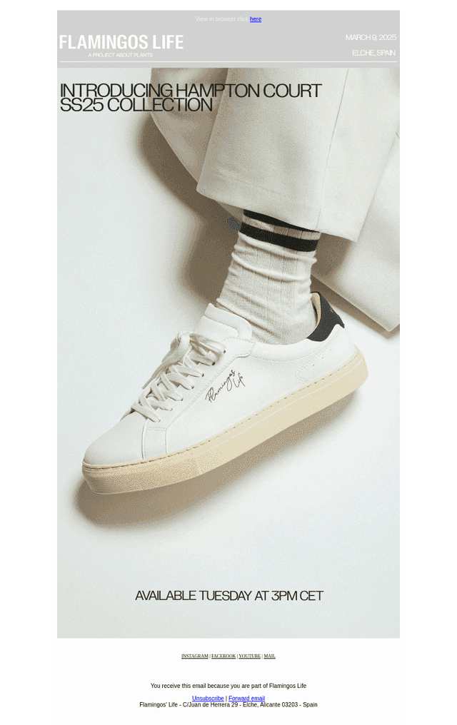 Introducing Hampton Court SS25 Collection.