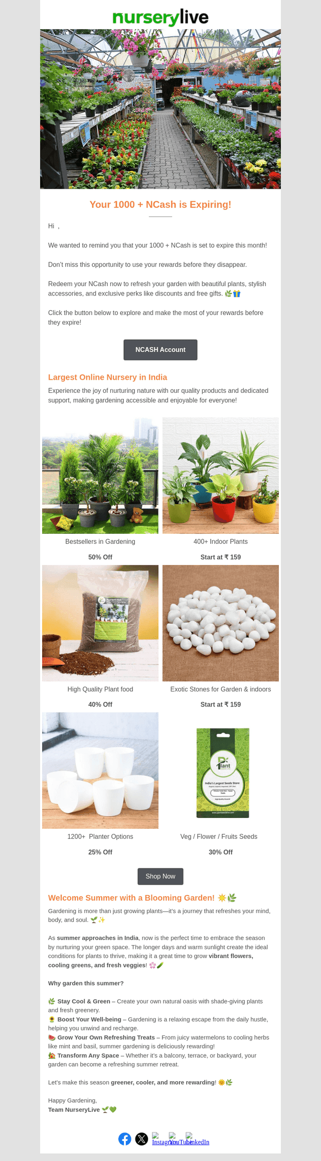 nurserylive email from Tue, Mar 11, 2025