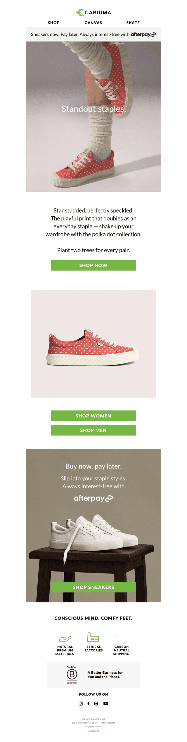All New: The Polka Dot Collection