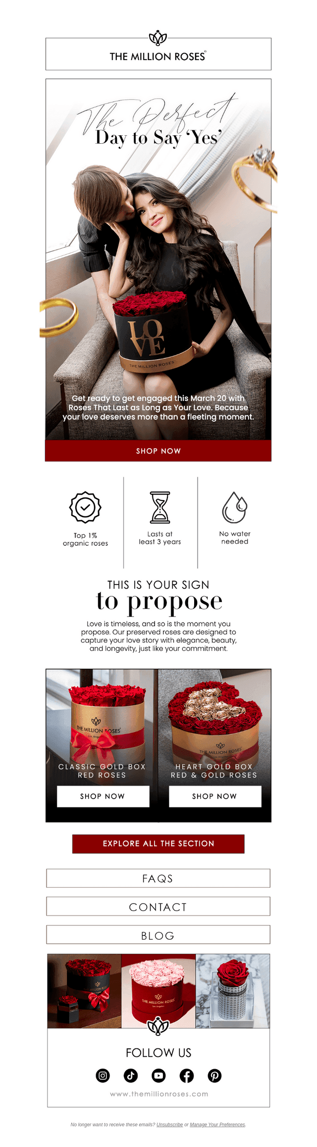 💖 Because ‘Yes’ Should Last Forever