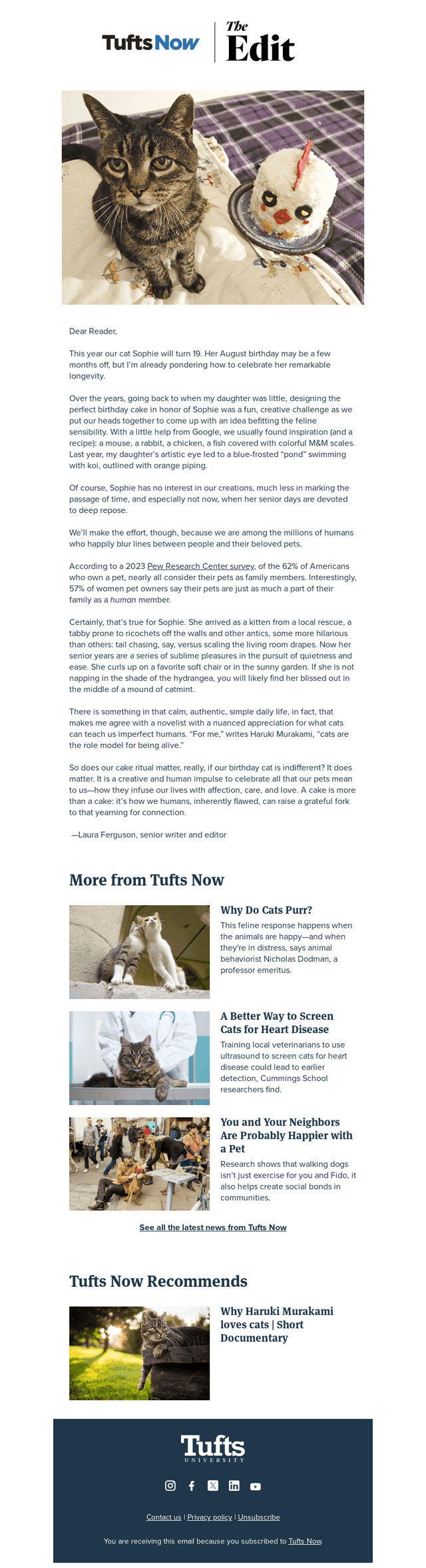 Tuft & Needle email from Fri, Mar 14, 2025