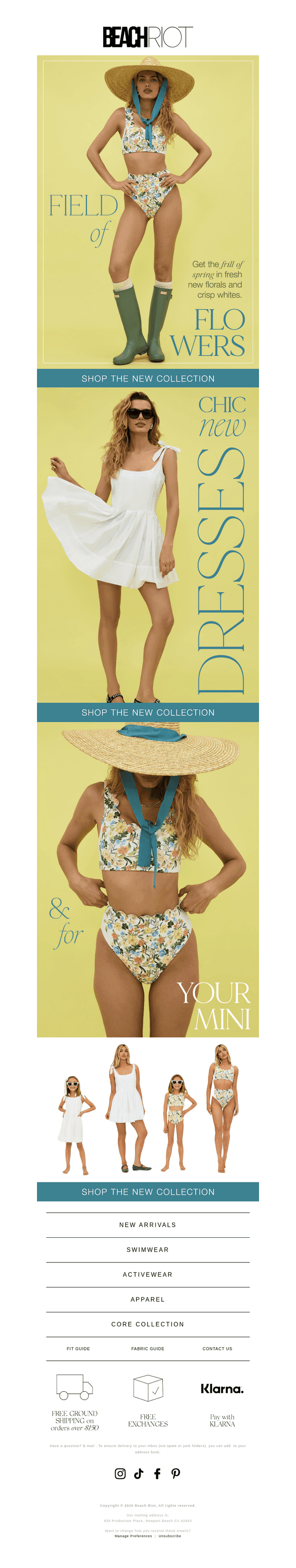 FRESH PICKS for you! 🌼