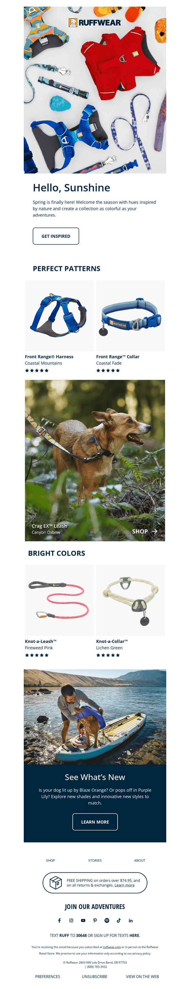 Colorful Gear for Spring-Ready Dogs