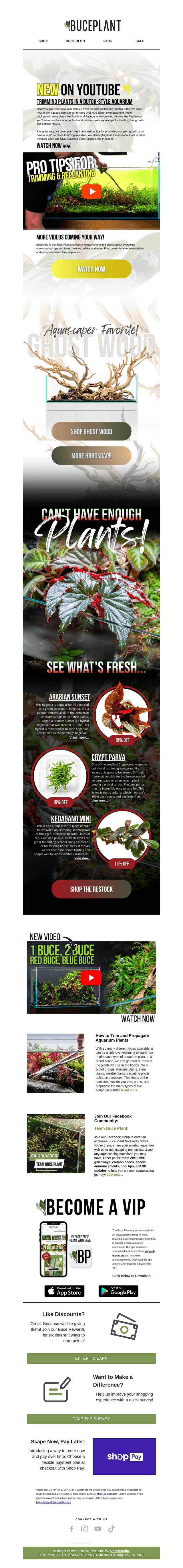Trimming Your Aquascape: Learn Tips & Tricks! 🌿✂️