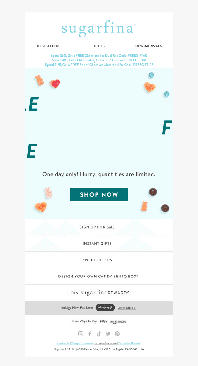 LAST CHANCE: SPRING SALE