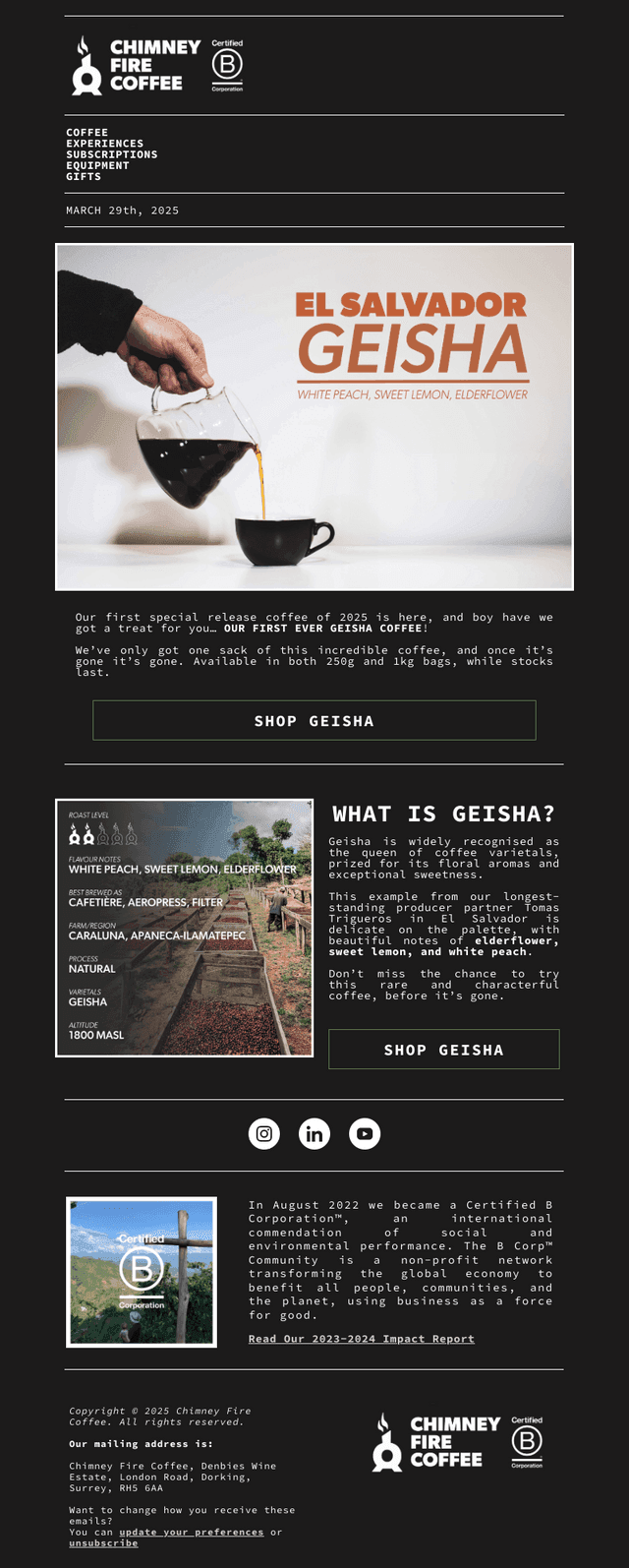 Our first ever Geisha is here! | SHOP NOW