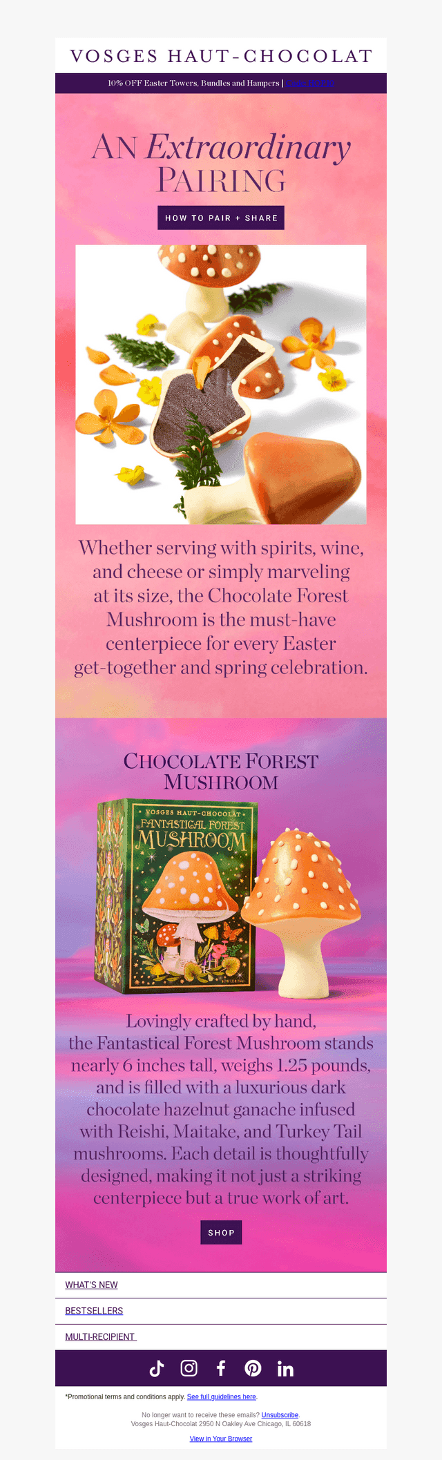 Forest Finds: Hazelnut Magical Mushroom