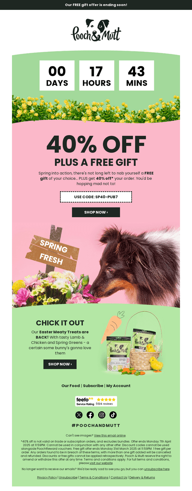 Enjoy a FREE Gift + 40% Off Today!🎁