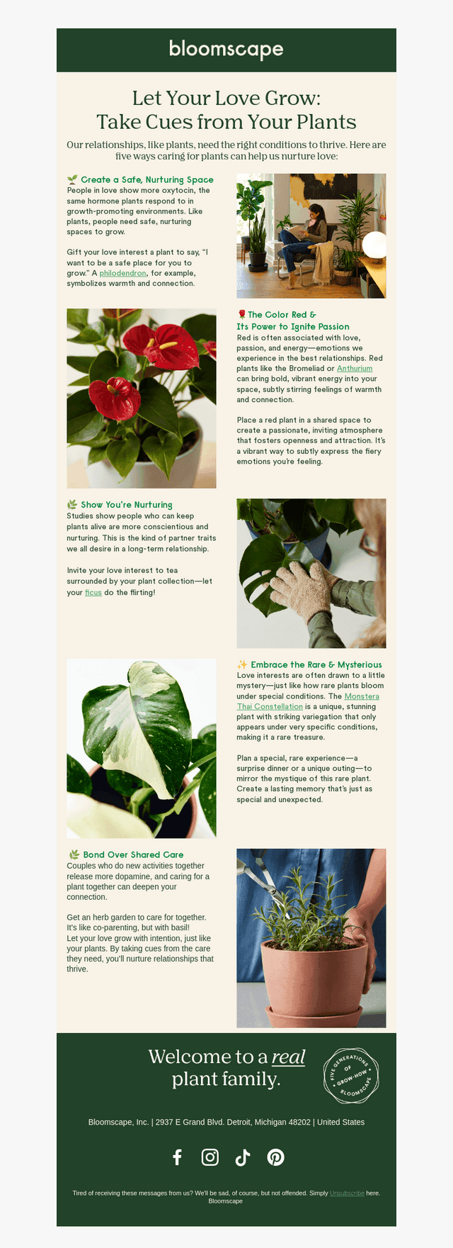 Grow Your Love: 5 Relationship Lessons from Plants 🌱💚