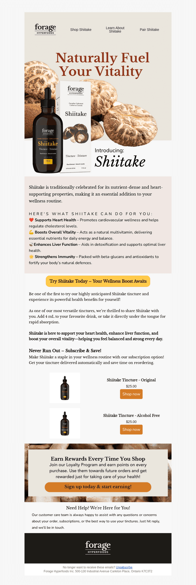 Introducing Shiitake- Your New Wellness Partner