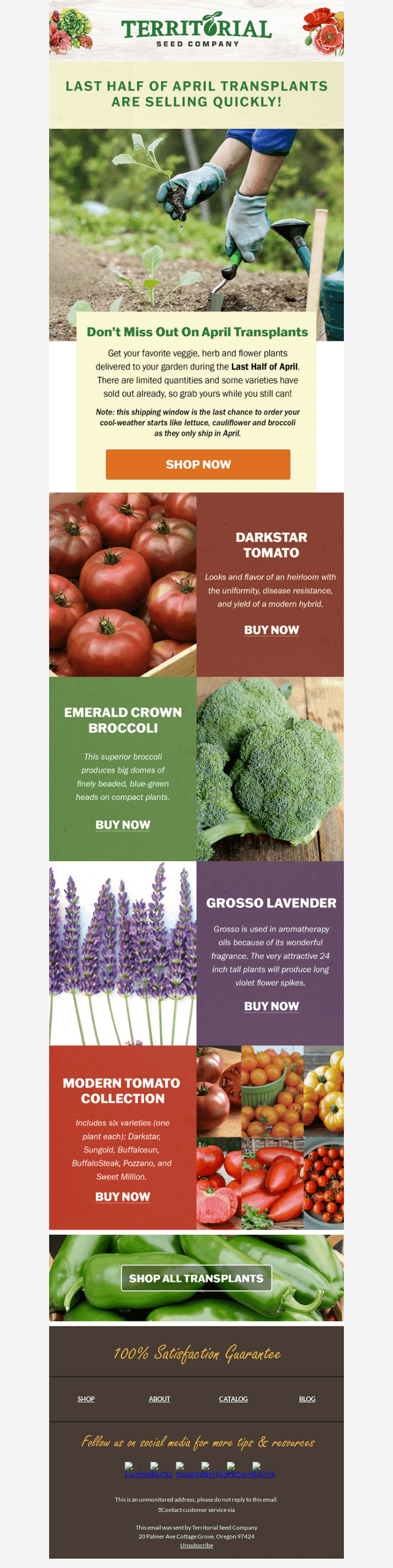 Grab your April transplants before they're gone! 🌱