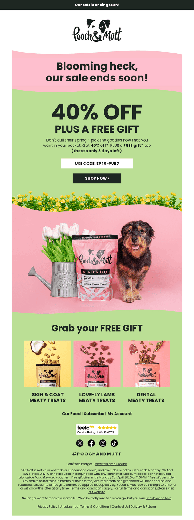 3 Days Left: 40% Off + a FREE Gift this Spring 🐣