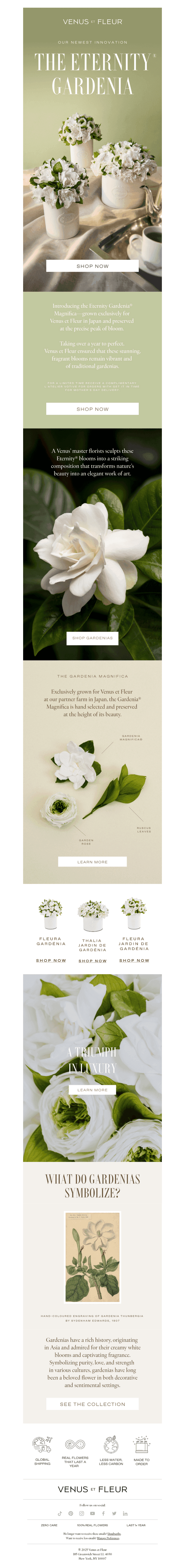 NEW: The Eternity Gardenia®