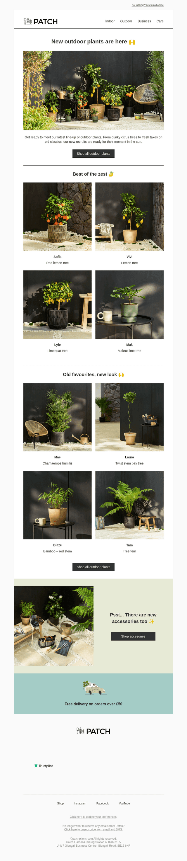 Just dropped! New outdoor plants ☀️