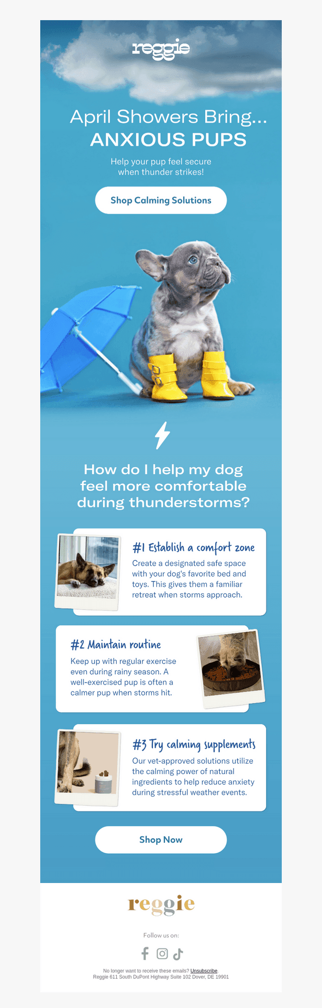 April Showers = Anxious Pups 😔
