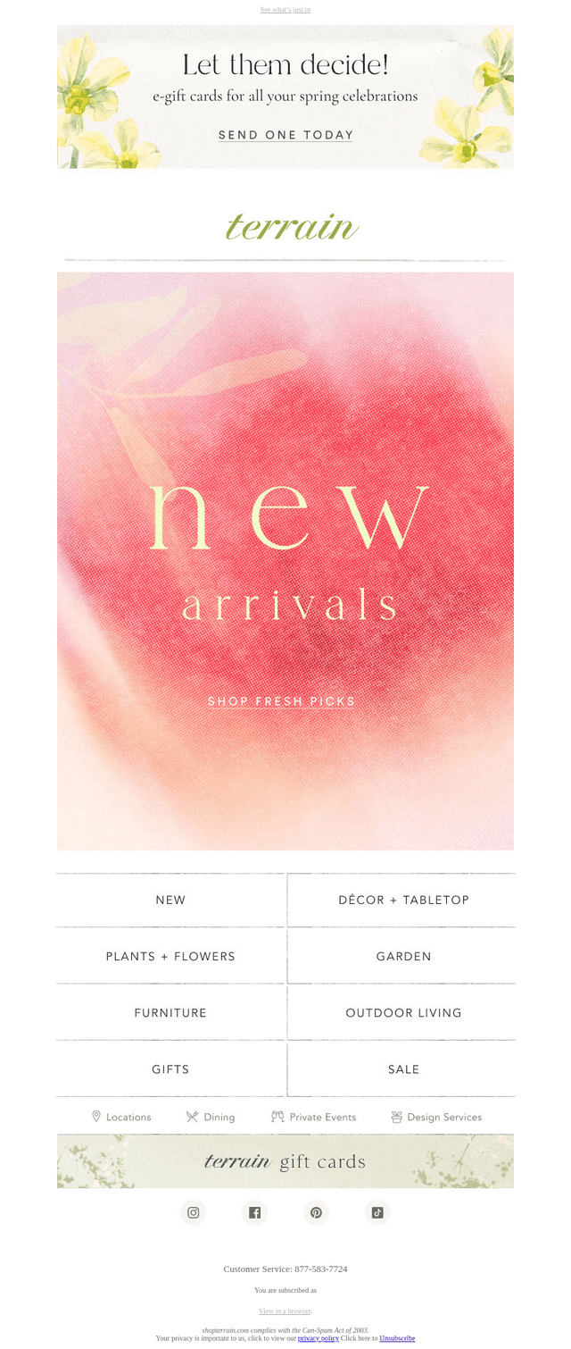 NEW NEW NEW (arrivals)