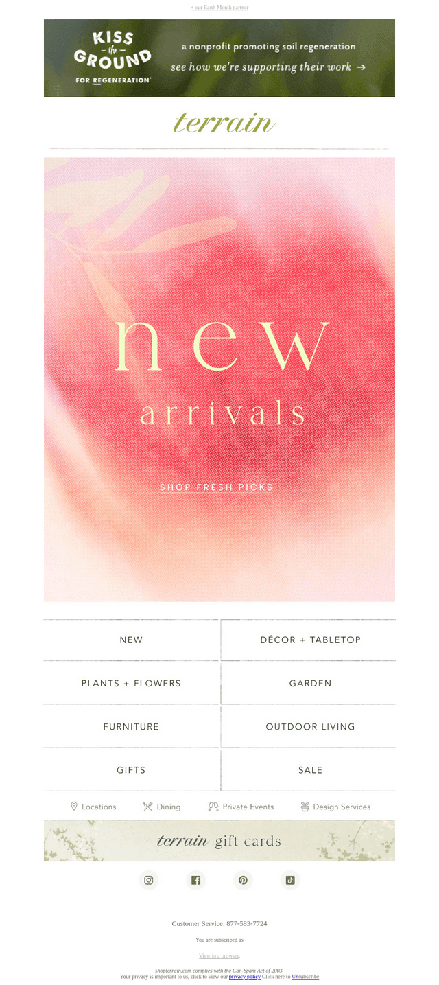 So many NEW ARRIVALS inside