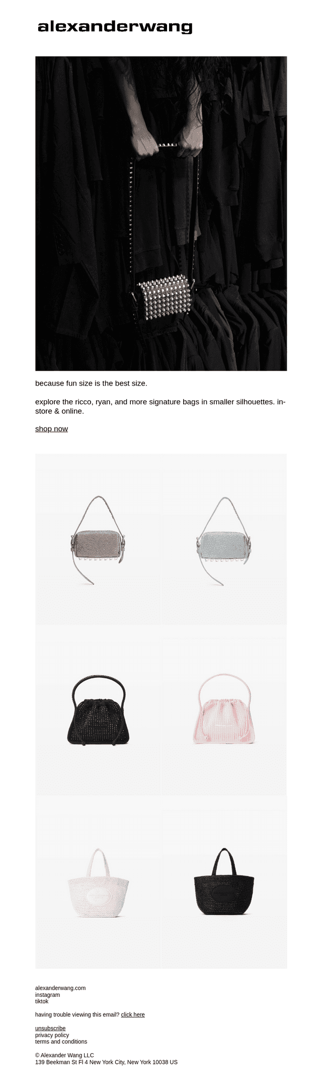 welcome to alexanderwang