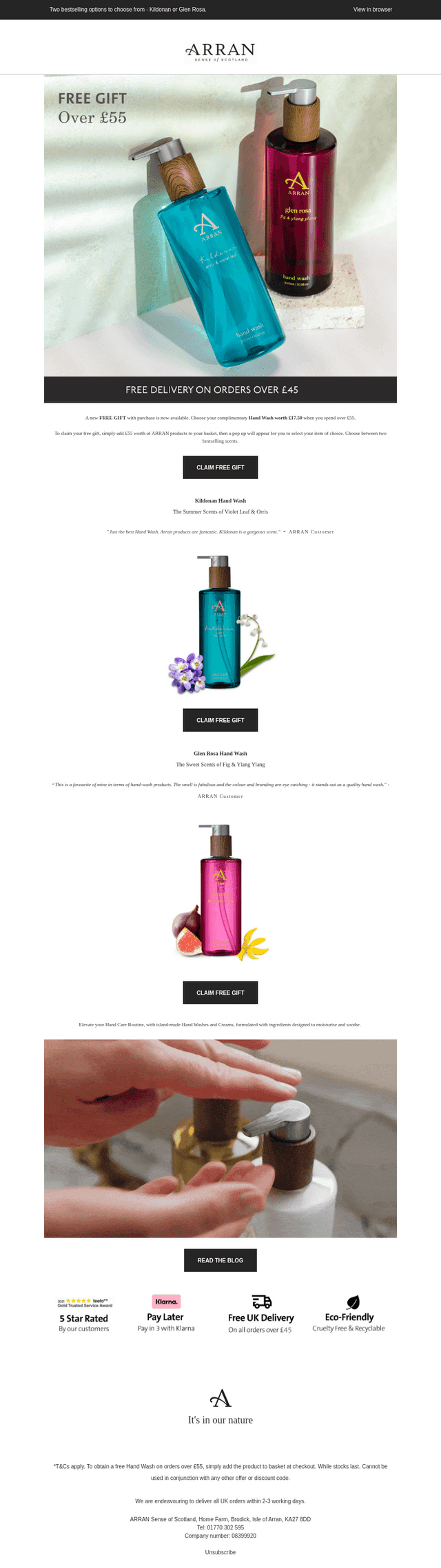 Summer Scents to Love 🌞