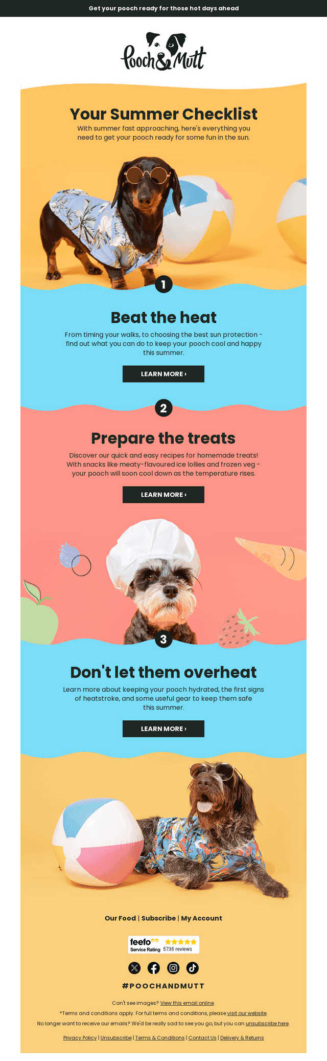 Is Your Dog Summer Ready? 😎
