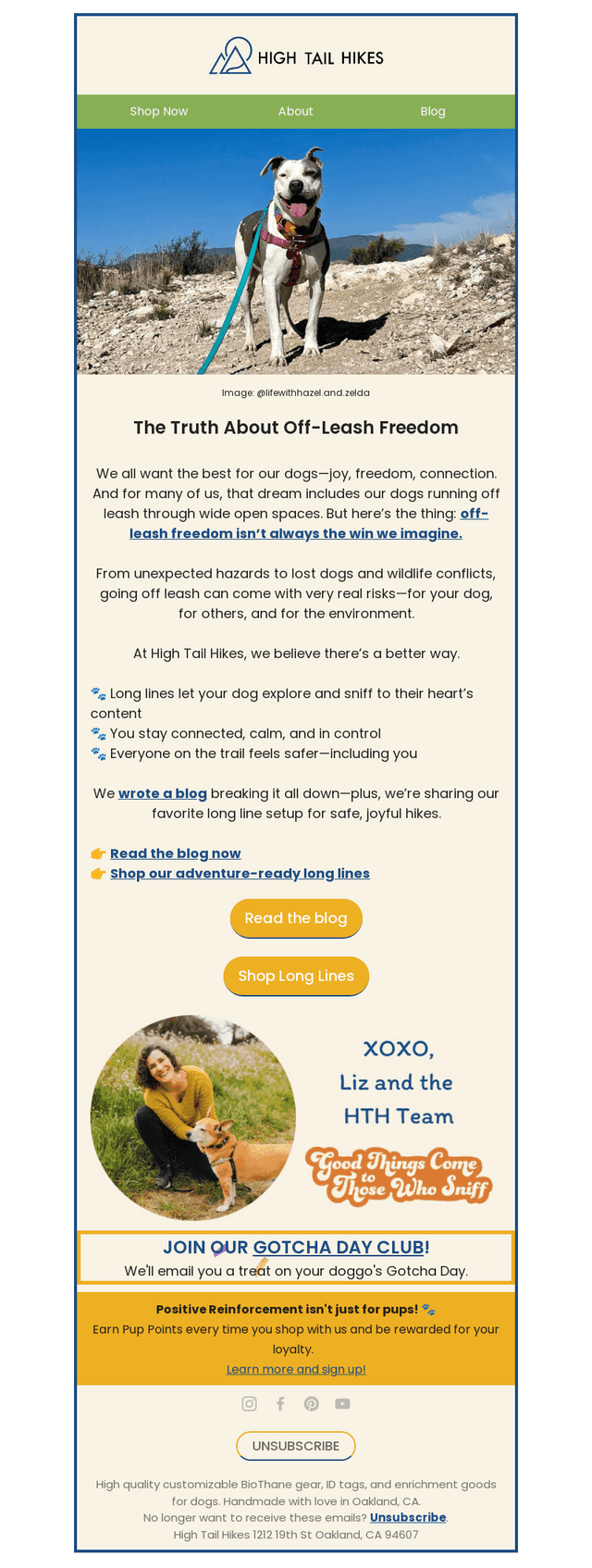 The truth about off leash