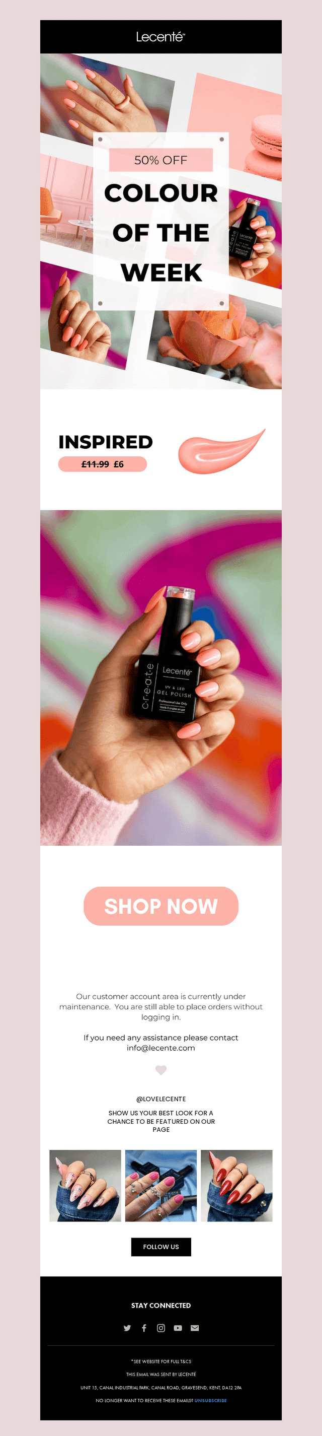 This Week’s Colour of the Week: Inspired! ✨🎨