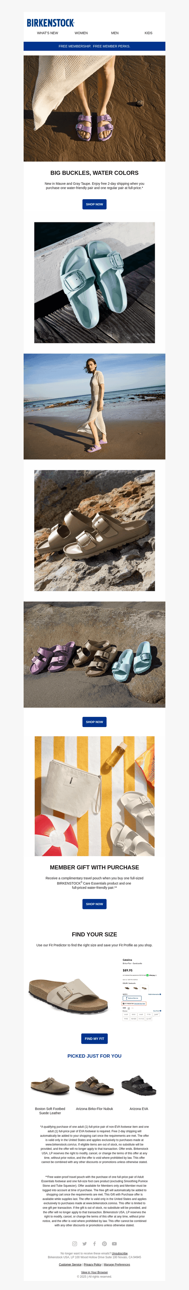 Big Buckle Essentials, New Colors