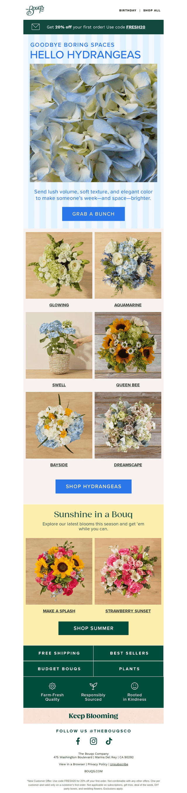 Hydrangeas = bloom overload in the best way