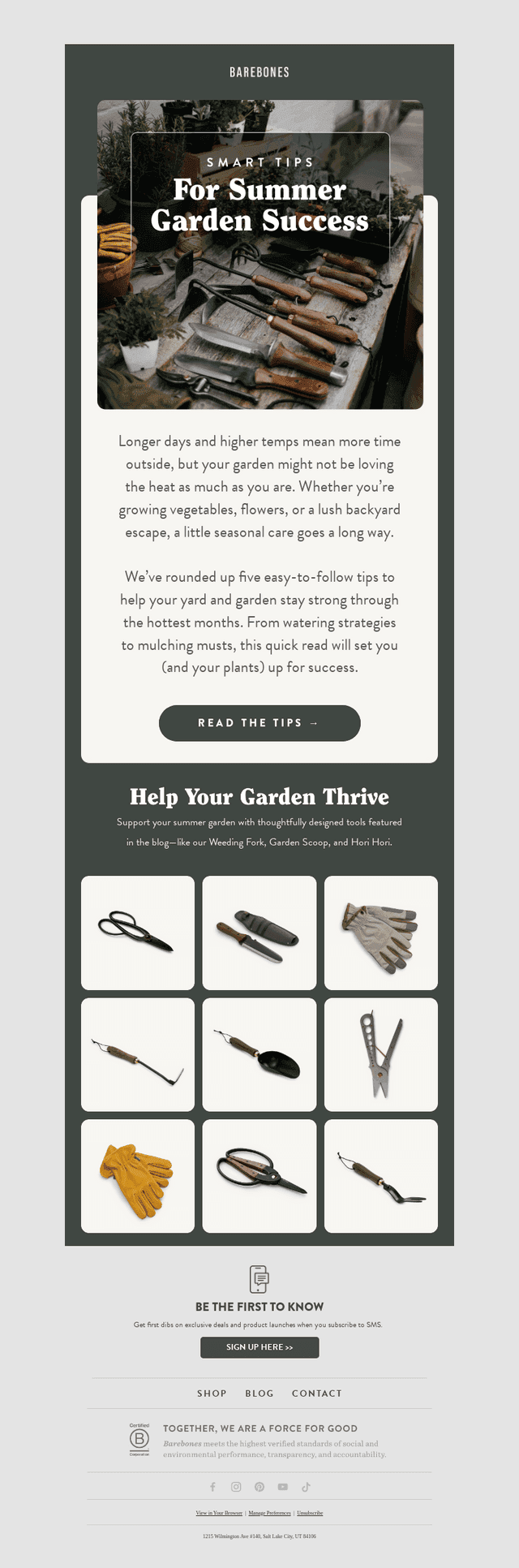 Keep Your Garden Thriving All Summer