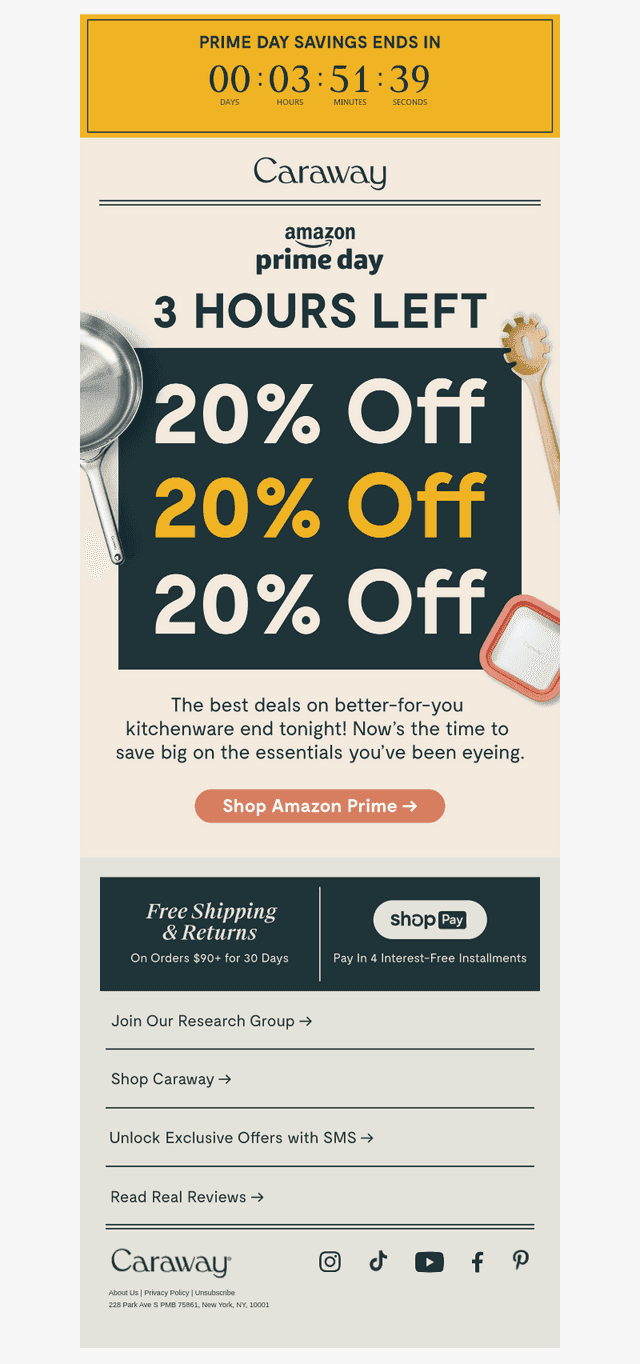 Final Chance for 20% OFF