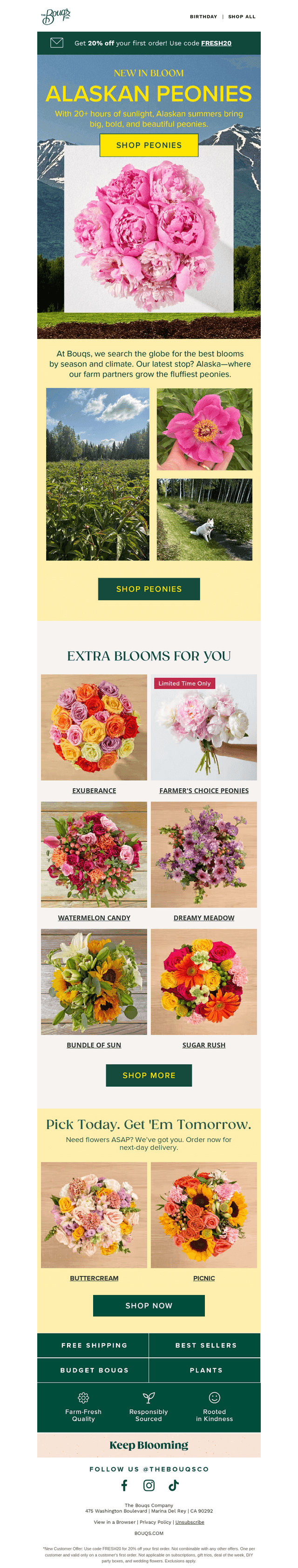 NEW IN BLOOM: Alaskan Peonies💗