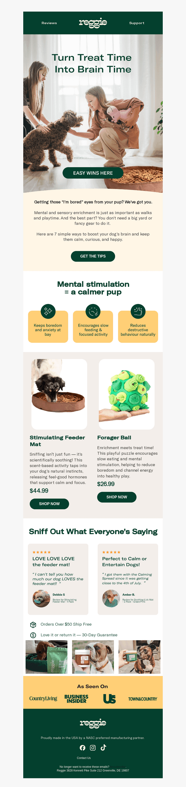 Your Dog Needs More Than Walks—Here’s Why