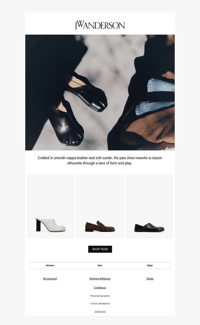 The Paw Shoe