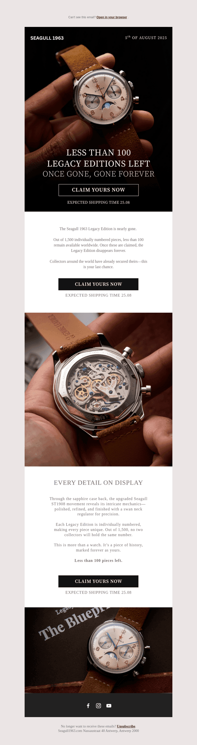⚠️ Final Countdown: Only 100 Watches Left