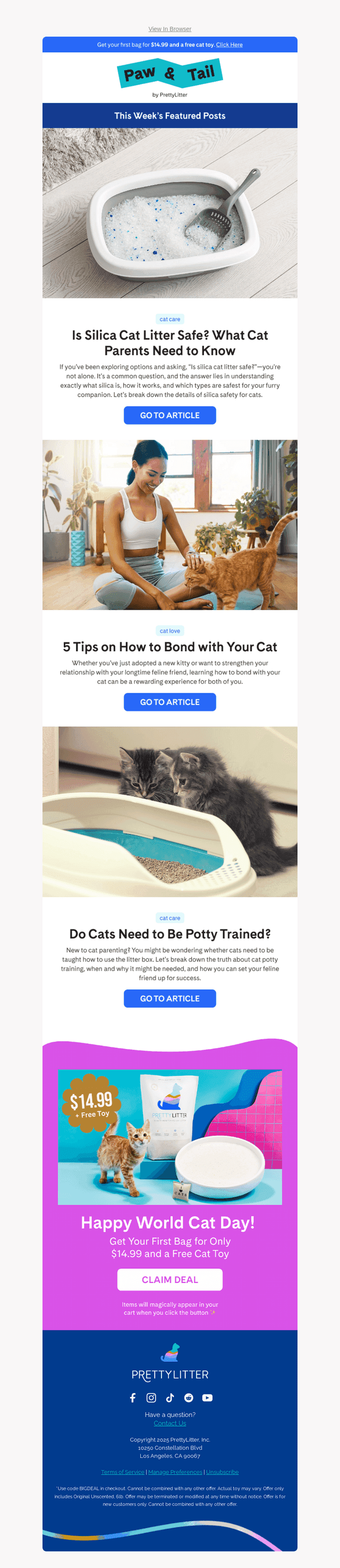 What Cat Parents Need to Know