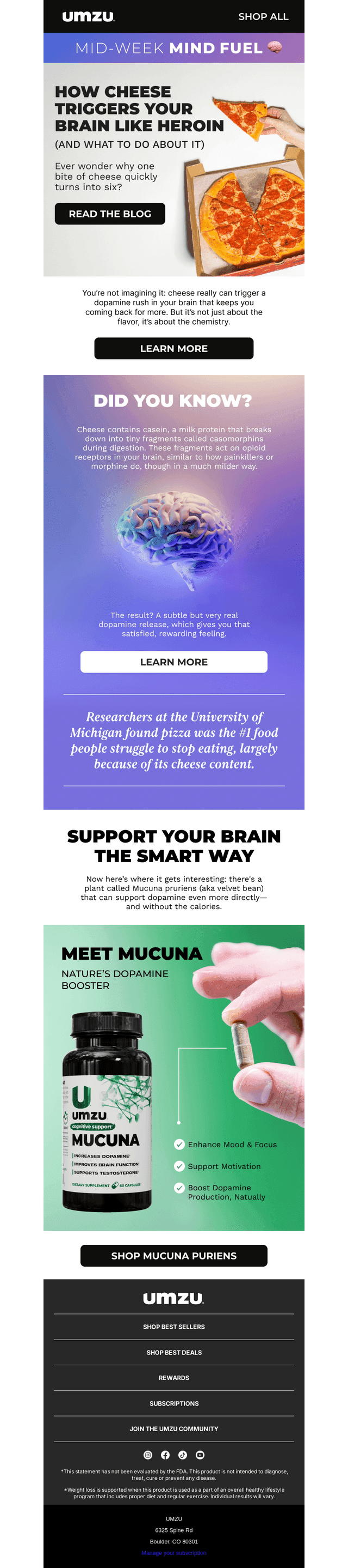 The Dopamine Behind Your Cheese Cravings