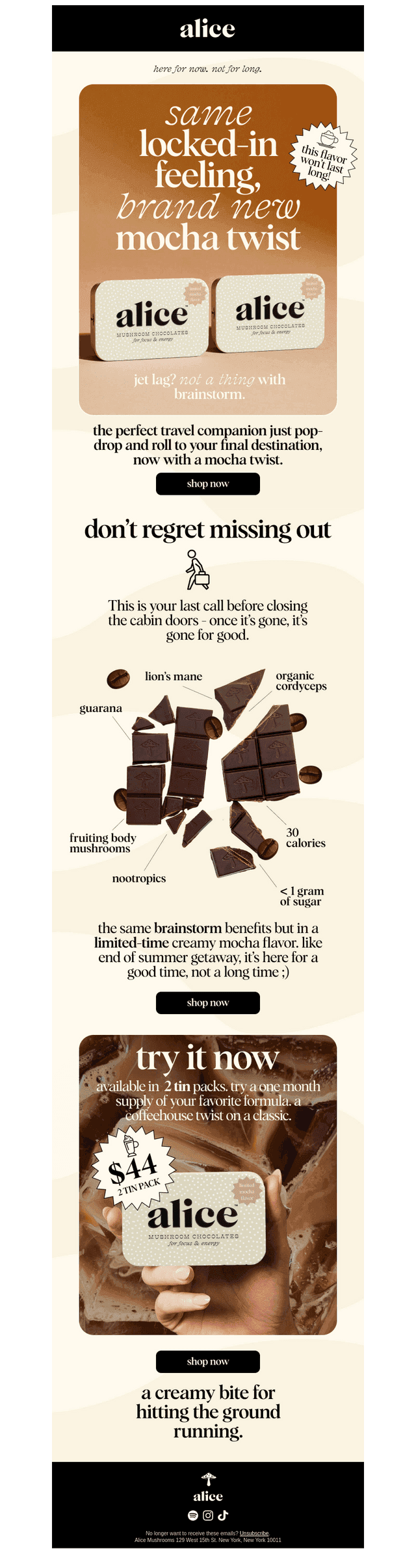 MOCHA BRAINSTORM IS DISAPPEARING FAST