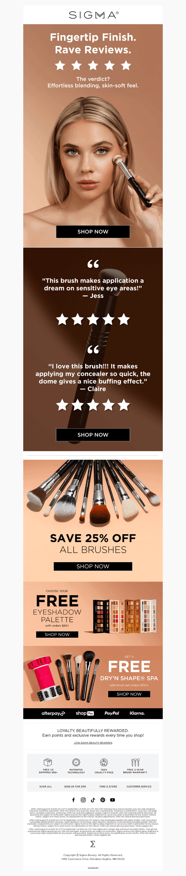 ★★★★★ The Brush Everyone’s Talking About