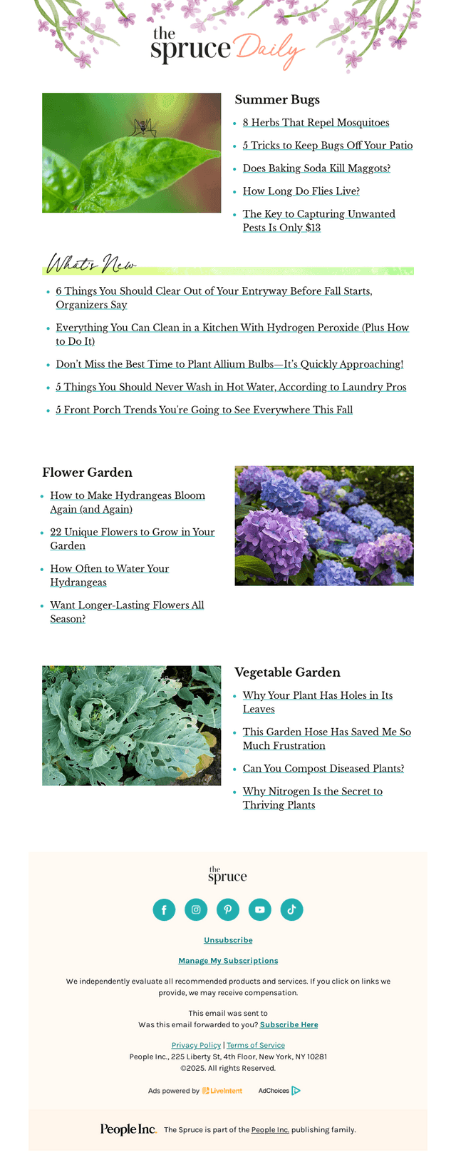 8 Herbs That Repel Mosquitoes