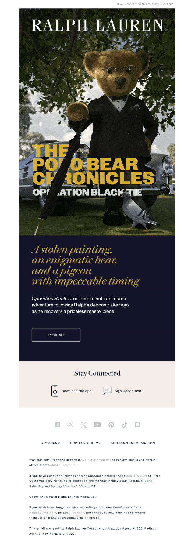 Presenting The Polo Bear Chronicles: “Operation Black Tie”