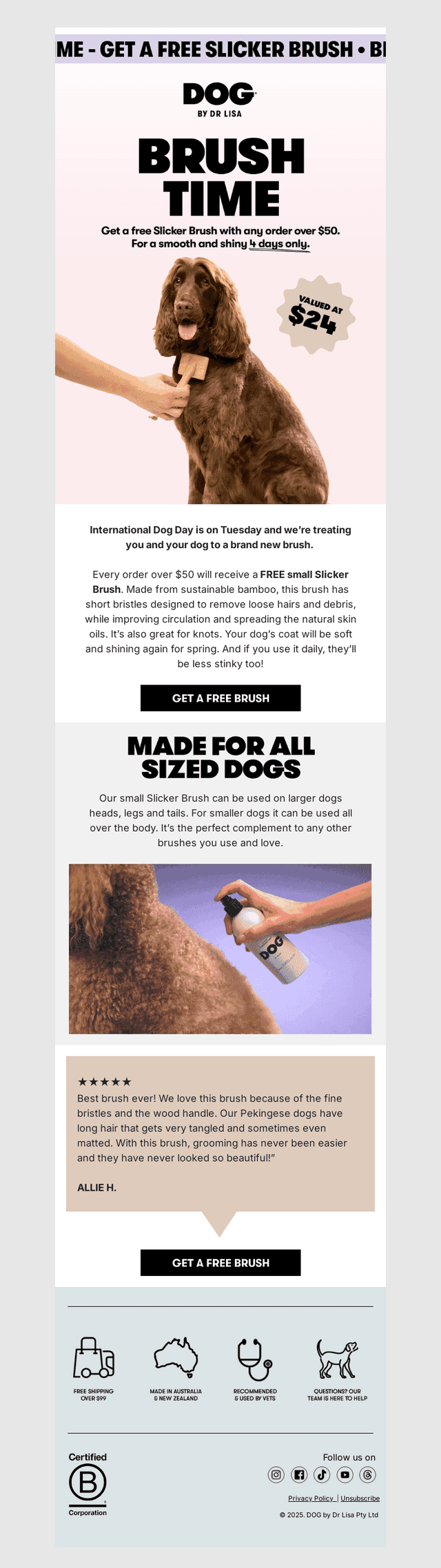 Want a FREE brush?