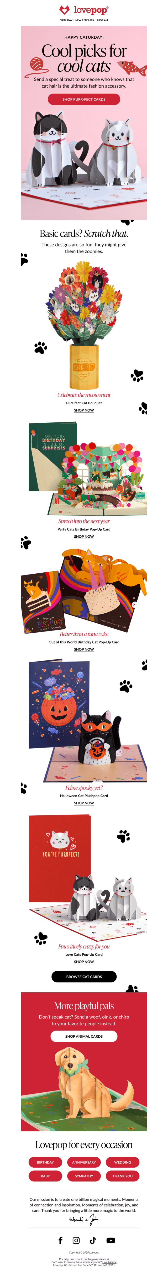 These cards have cattitude 😻