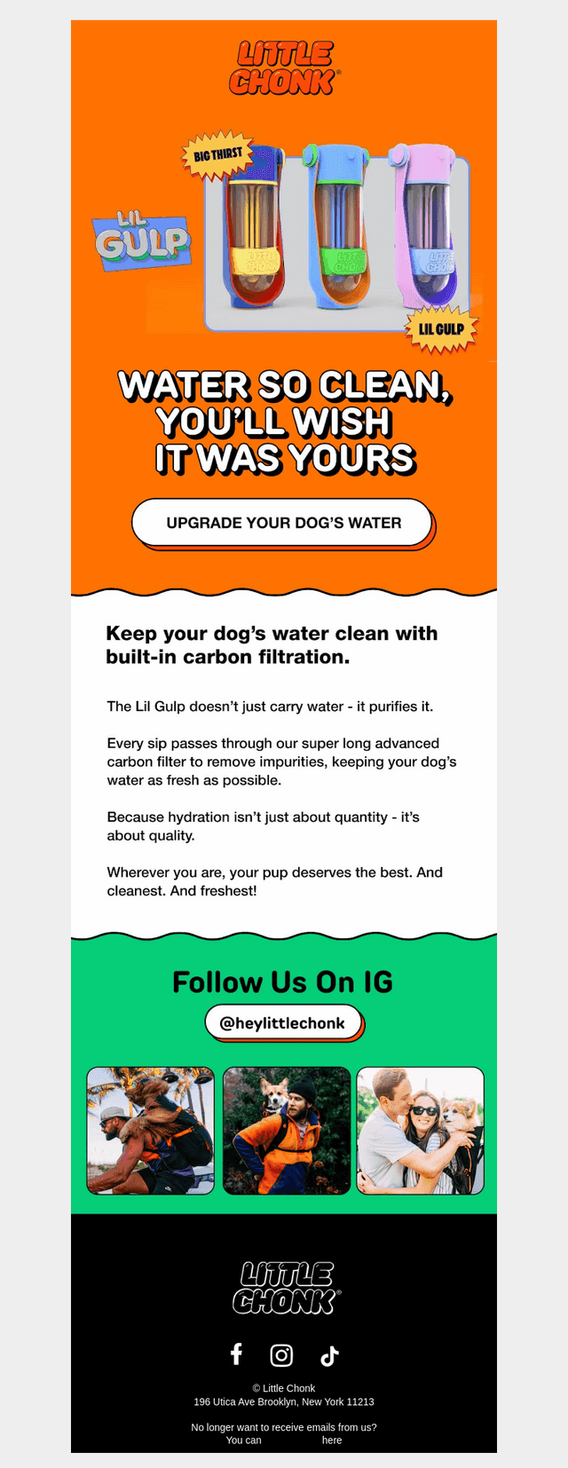 Clean water, happy dog