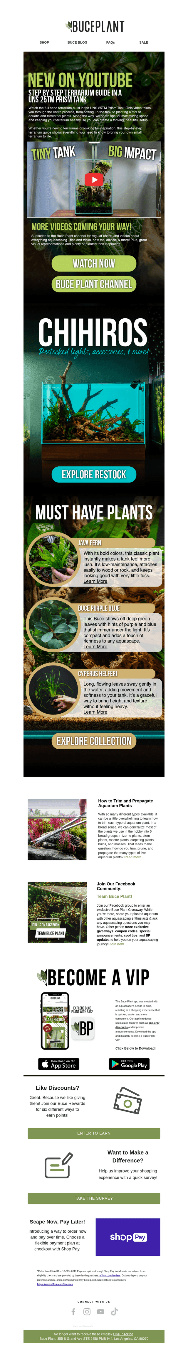 Buce Plant email from Tue, Sep 9, 2025