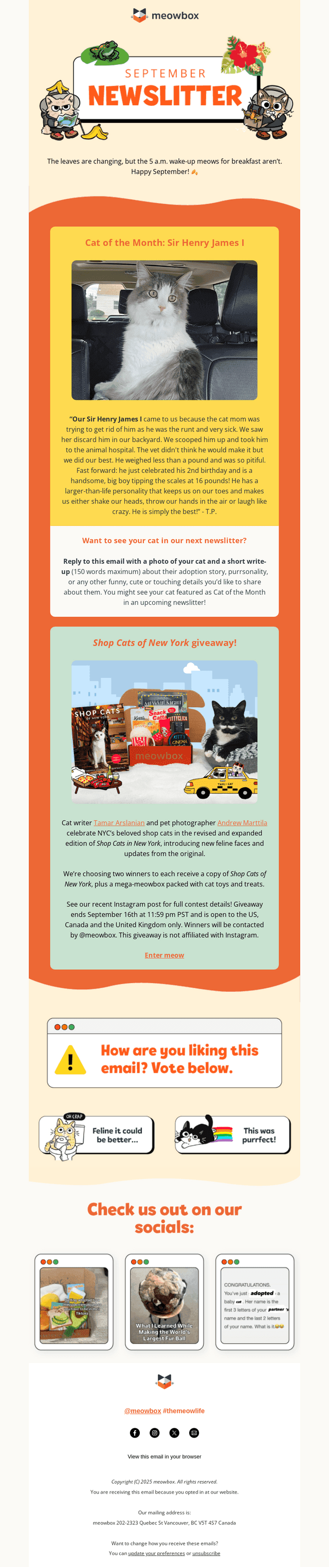 meowbox email from Wed, Sep 10, 2025