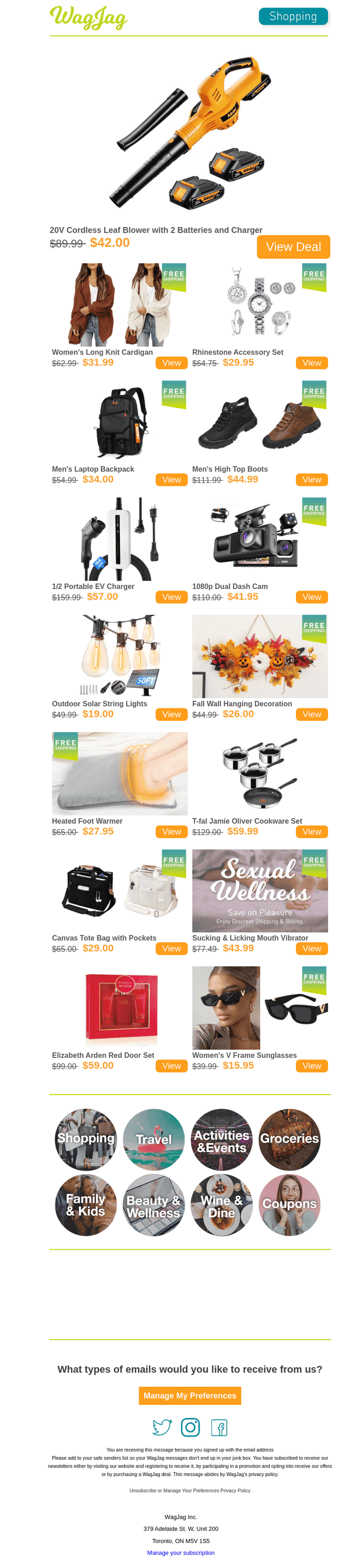 $42 for a Cordless Leaf Blower 🍃
