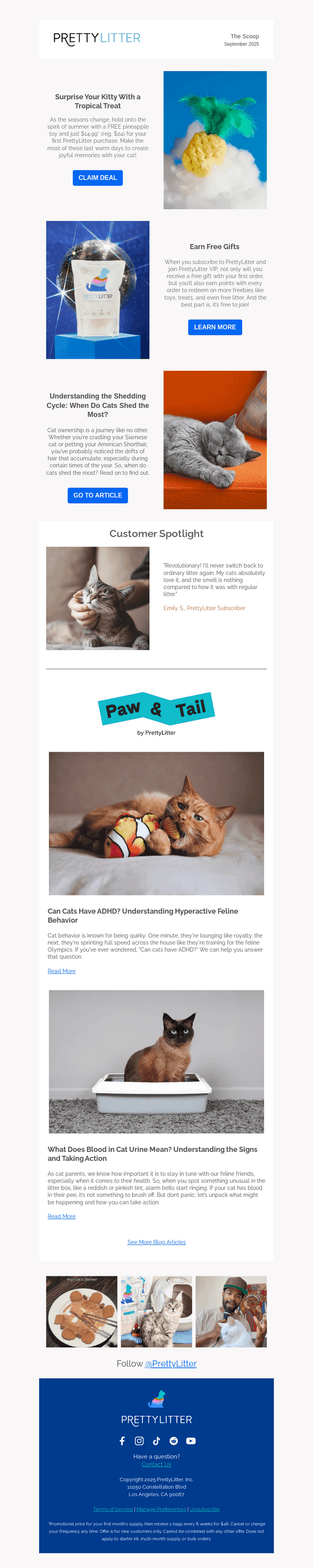 September Newsletter 🍃