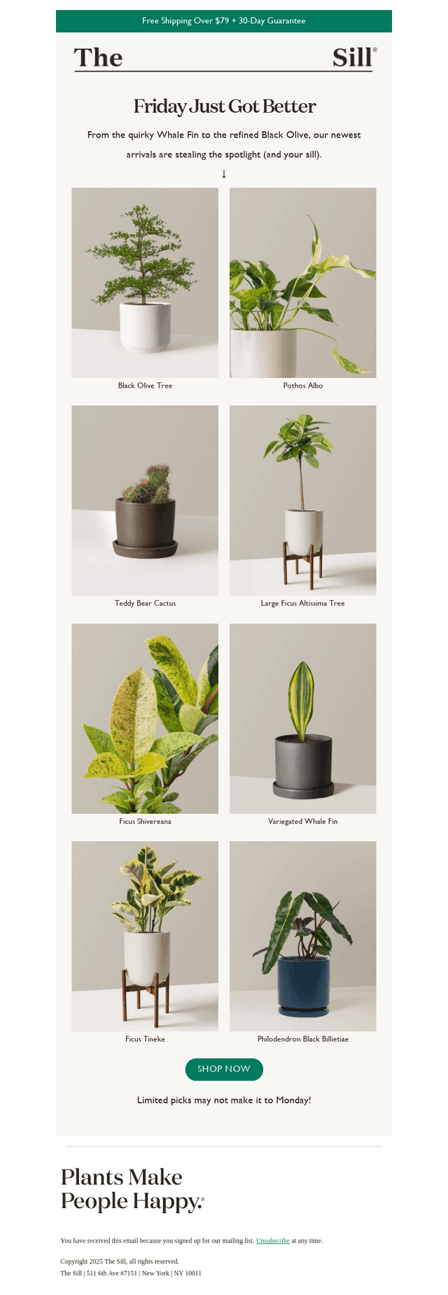 🌱 NEW NEW NEW
